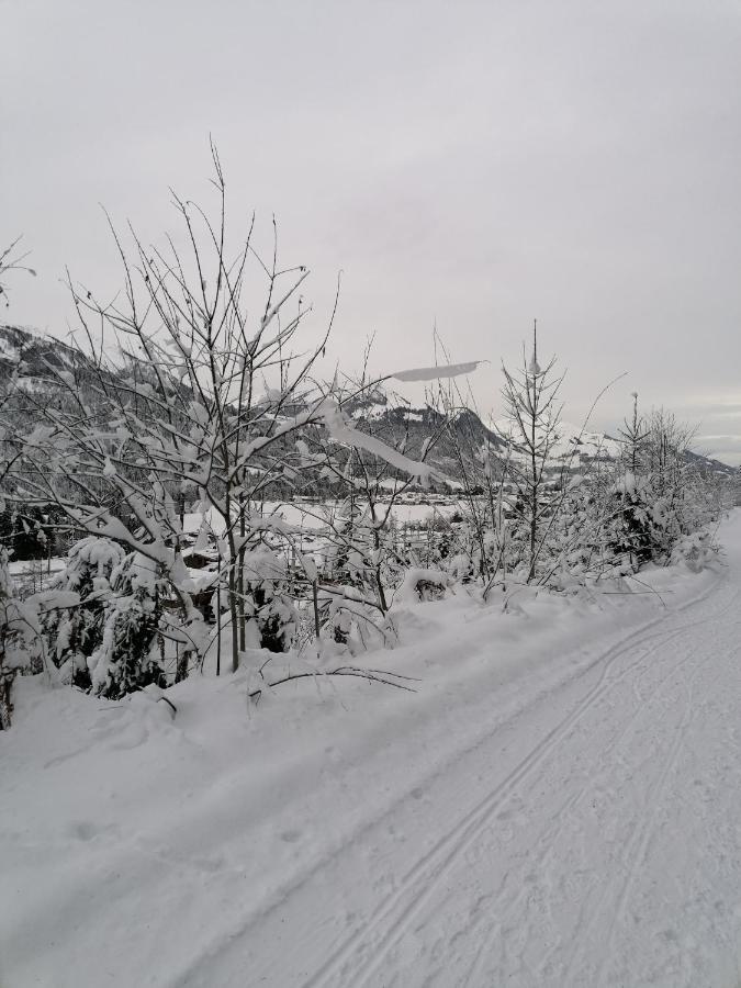 Ferienwohnungen Vordergriess Hochfilzen Buitenkant foto