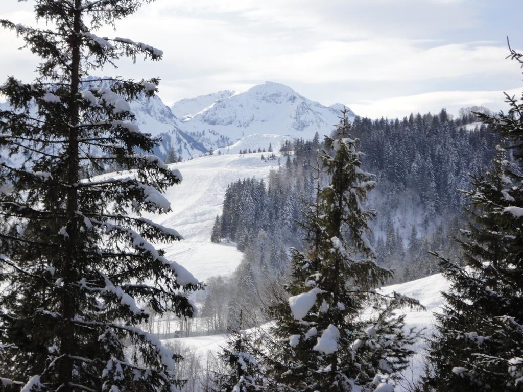 Ferienwohnungen Vordergriess Hochfilzen Buitenkant foto