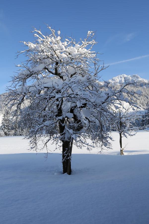 Ferienwohnungen Vordergriess Hochfilzen Buitenkant foto